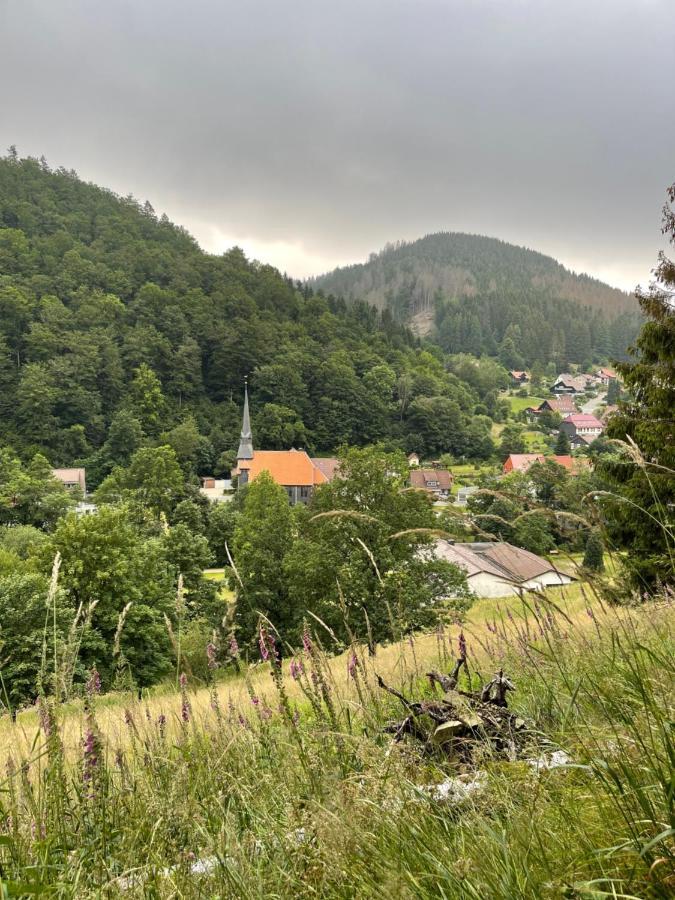 Gemuetliches Apartment Mit Kamin Und Wohnkueche Херцберг ам Харц Екстериор снимка