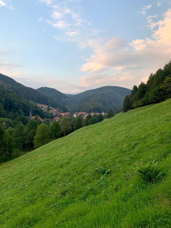 Gemuetliches Apartment Mit Kamin Und Wohnkueche Херцберг ам Харц Екстериор снимка